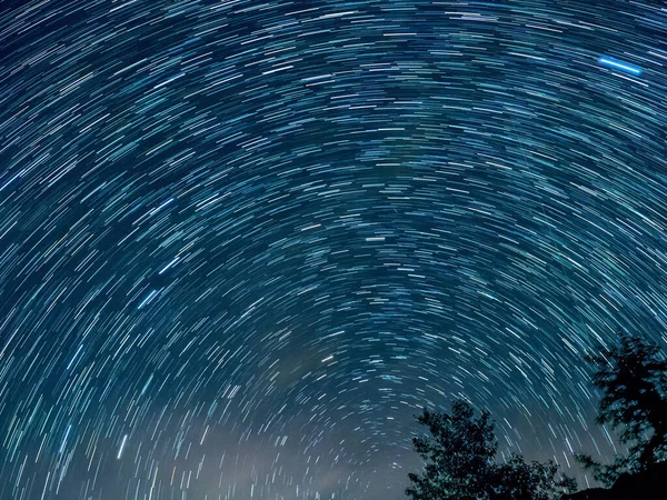Голубое Темное Ночное Небо Многими Звездами Над Полем Деревьев — стоковое фото