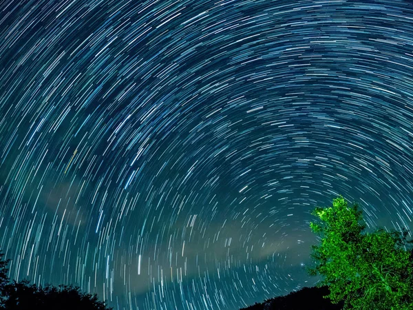 Mavi Karanlık Gece Gökyüzüne Alan Ağaçların Yukarıda Birçok Yıldız Ile — Stok fotoğraf