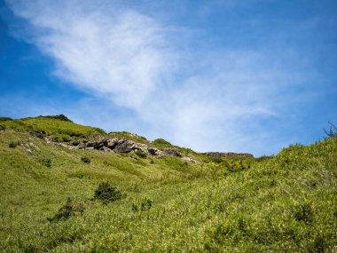 Tayvan 'daki Hehuan Dağı manzarası.