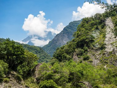 Tayvan 'daki Hehuan Dağı manzarası.