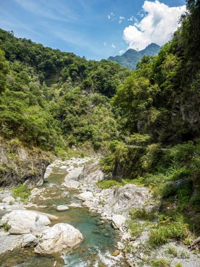 Dağ nehri. Nehir. Akış. Taşlar. Taşlar. Doğa. - Su. Nehir manzaralı. Yeşil. Dağ. Bitkiler.