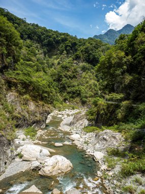 Dağ nehri. Nehir. Akış. Taşlar. Taşlar. Doğa. - Su. Nehir manzaralı. Yeşil. Dağ. Bitkiler.