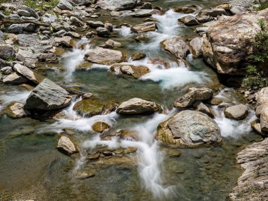 Dağ nehri. Nehir. Akış. Taşlar. Taşlar. Doğa. - Su. Nehir manzaralı. Yeşil. Dağ. Bitkiler.