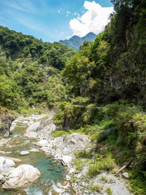 Dağ nehri. Nehir. Akış. Taşlar. Taşlar. Doğa. - Su. Nehir manzaralı. Yeşil. Dağ. Bitkiler.