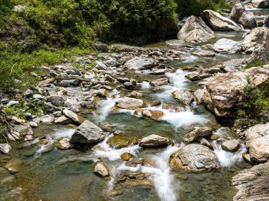 Dağ nehri. Nehir. Akış. Taşlar. Taşlar. Doğa. - Su. Nehir manzaralı. Yeşil. Dağ. Bitkiler.