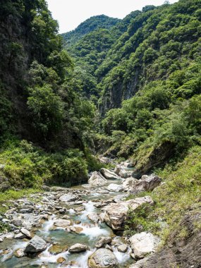 Dağ nehri. Nehir. Akış. Taşlar. Taşlar. Doğa. - Su. Nehir manzaralı. Yeşil. Dağ. Bitkiler.