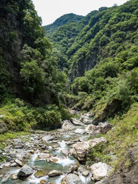 Dağ nehri. Nehir. Akış. Taşlar. Taşlar. Doğa. - Su. Nehir manzaralı. Yeşil. Dağ. Bitkiler.