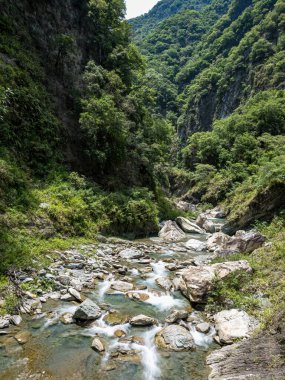 Dağ nehri. Nehir. Akış. Taşlar. Taşlar. Doğa. - Su. Nehir manzaralı. Yeşil. Dağ. Bitkiler.