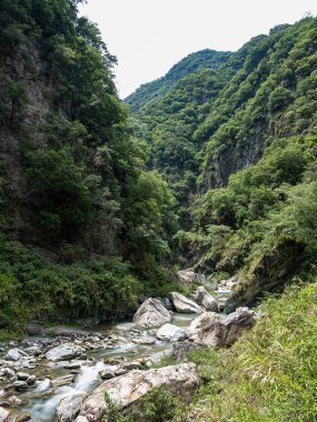 Dağ nehri. Nehir. Akış. Taşlar. Taşlar. Doğa. - Su. Nehir manzaralı. Yeşil. Dağ. Bitkiler.