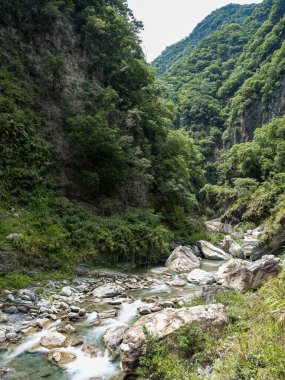 Dağ nehri. Nehir. Akış. Taşlar. Taşlar. Doğa. - Su. Nehir manzaralı. Yeşil. Dağ. Bitkiler.
