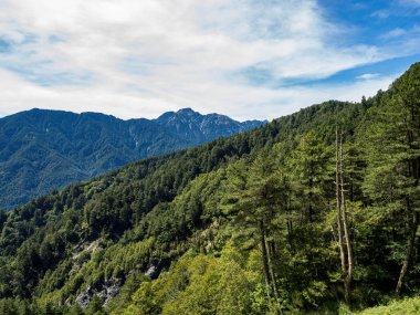 Tayvan 'daki Hehuan Dağı manzarası.