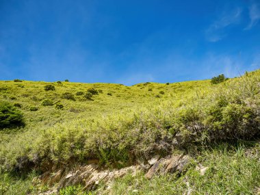 Tayvan 'daki Hehuan Dağı manzarası.