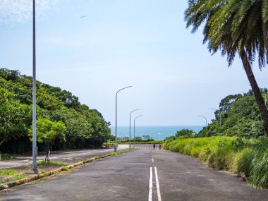 Bereketli Orman 'ın İçindeki Huzurlu Ağaç Çizgili Yol
