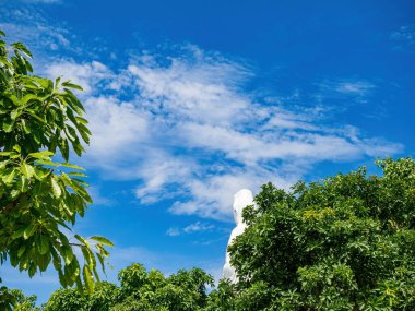 Da Nang, Vietnam - 24 Mayıs 2024: Vietnam 'daki Linh Ung Pagoda turist ziyareti, altı yıllık inşaatın ardından Temmuz 2010' da açılmasından bu yana popüler bir seyahat merkezi haline geldi..