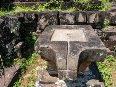 Quang Nam, VietNam - May 26,2024: tourists in My Son Sanctuary,Between the 4th and 13th centuries a unique culture which owed its spiritual origins to Hinduism developed on the coast of VietNam. clipart