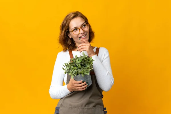 Young Georgian Woman Holding Plant Isolated Yellow Background Looking While — Stock Photo, Image