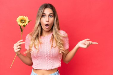 Genç, güzel Uruguaylı kadın elinde ayçiçeği tutuyor. Arka planda izole edilmiş. Şaşırmış ve işaret ediyor.