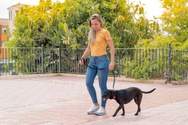Dışarıda sevimli siyah köpeği olan genç sarışın kadın.