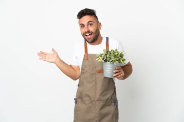 Bahçıvan elinde bitkiyi izole edilmiş beyaz bir arkaplanda tutuyor.