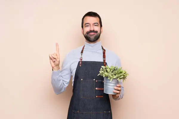 Man Holding Plant Isolated Background Showing Lifting Finger Sign Best — Stock Photo, Image
