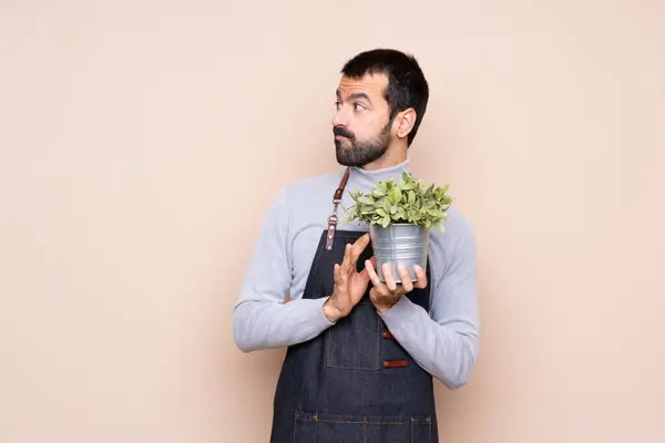 Άντρας Που Κρατάει Ένα Φυτό Πάνω Από Απομονωμένο Φόντο Σχεδιάζει — Φωτογραφία Αρχείου