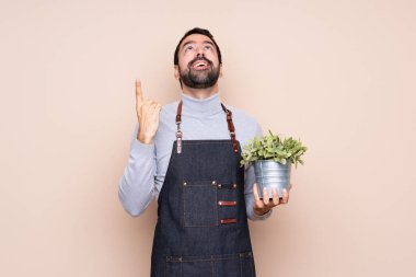 Arka planda bir bitkiyi tutan adam yukarı bakıyor ve şaşırıyor.