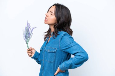 Beyaz arka planda lavanta tutan genç İspanyol kadın gayret gösterdiği için sırt ağrısından muzdarip.