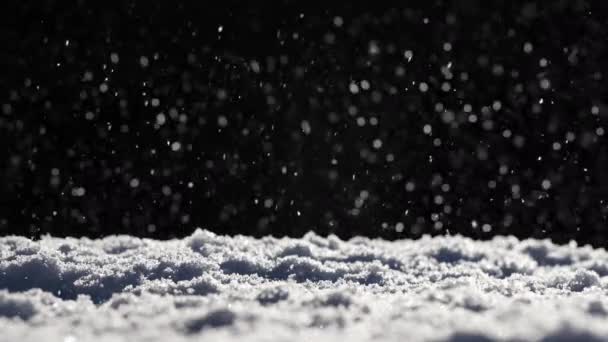 Kompozytowy Film Śniegu Padającym Czarne Tło Subtelnym Błyskiem Płatków Śniegu — Wideo stockowe