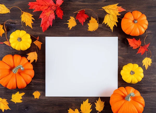 Blank Thanksgiving Halloween Gränsen Med Vitt Papper Mitten Stockbild
