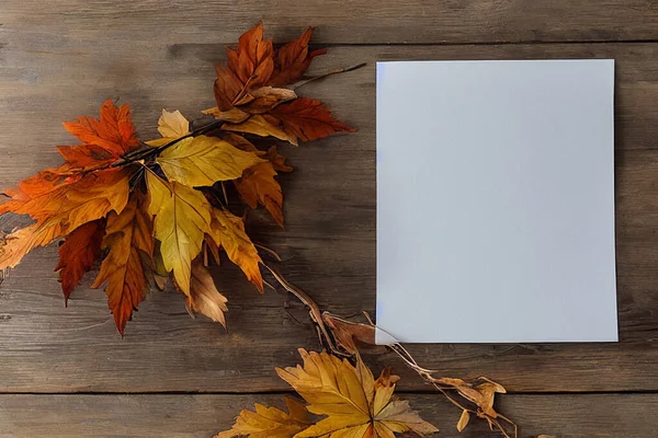 Prázdná Díkůvzdání Podzimní Větev Bílým Papírem Boku Stock Snímky