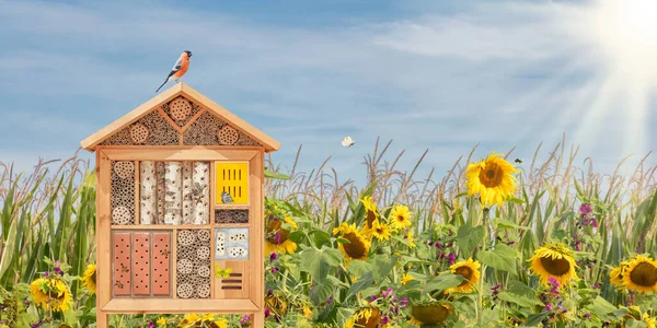 Vackert Insektshotell Med Fågel Flygande Fjärilar Och Bin Framför Blommande — Stockfoto