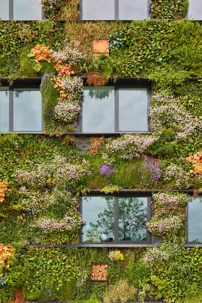 Exterior of a green sustainable building covered with blooming vertical hanging plants