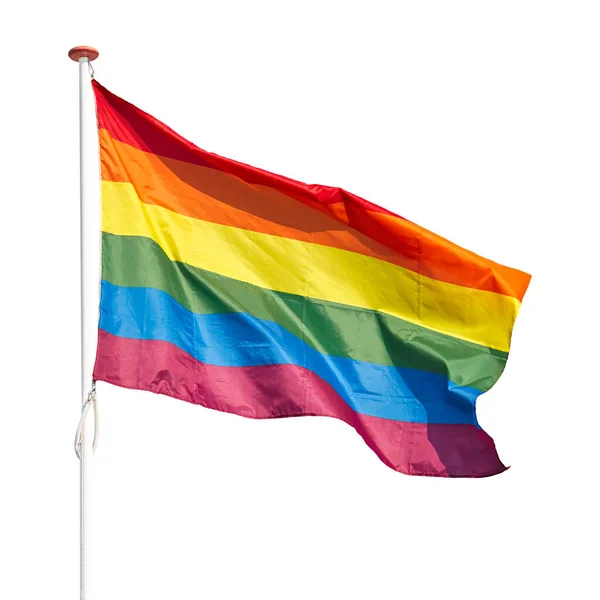 stock image Waving rainbow flag with pole isolated on a white background