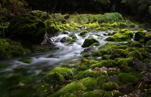神秘的な緑のゴージャスを通って流れる冷たい山の川 石はモスに覆われている — ストック写真