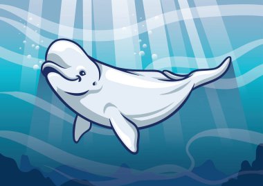 Beluga Whale in the ocean clipart