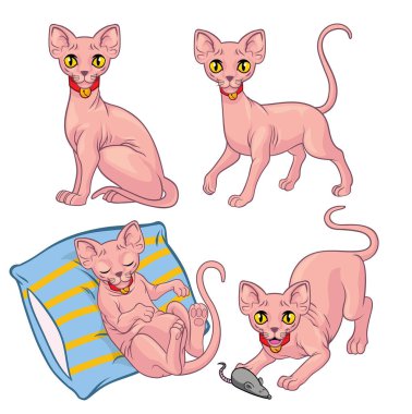 vector cartoon of cute sphynx cat set clipart