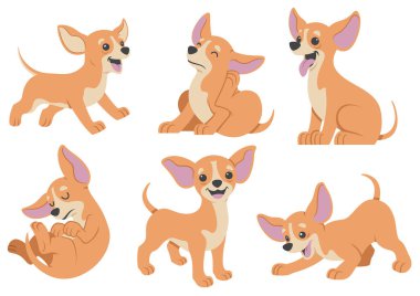 Chihuahua köpek çizgi film seti