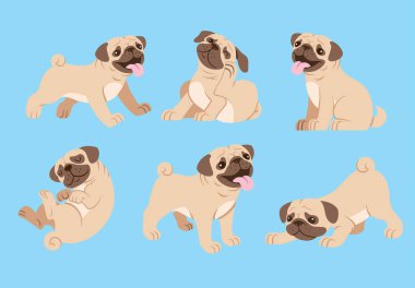 Pug dog çizgi film seti