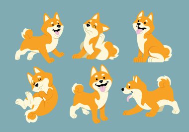 shiba inu çizgi film seti