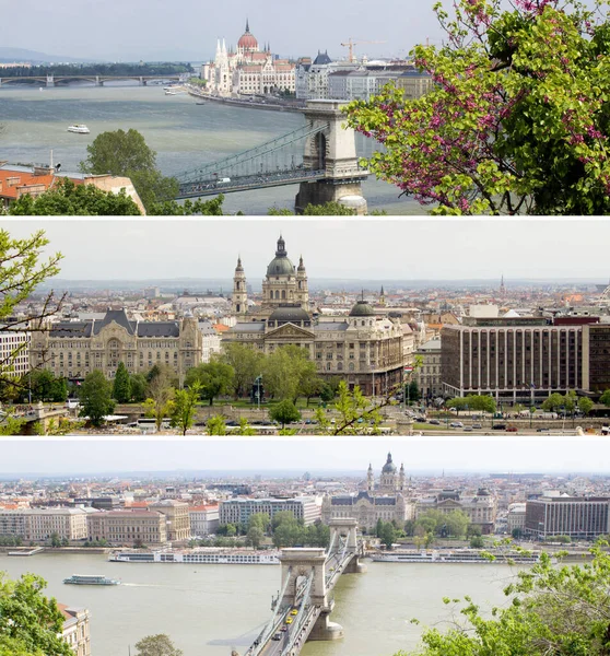 Collage Panoramautsikt Över Parlamentet Staden Och Floden Vårdagen Budapest Ungern — Stockfoto