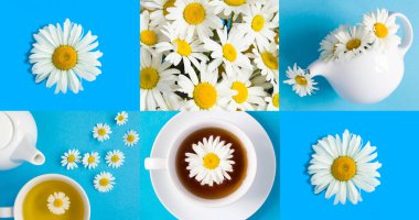 Papatya çayı kolajı ve mavi arka planda çiçekler. Yakın plan..