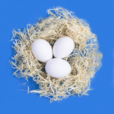 Mavi arka planda saman yuvasında beyaz paskalya yumurtaları. Yakın plan..