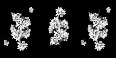 Siyah arkaplanda beyaz ağaç dalları var. Üst Manzara. Şablon. Düz yatıyordu.