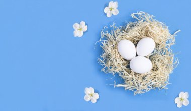 Mavi arka planda saman ve çiçek yuvasında beyaz paskalya yumurtaları. Uzayı kopyala Üst görünüm.