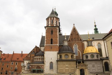 Wawel Kalesi 'ni bir günde görmek. Yakın plan. Krakow. Polonya.