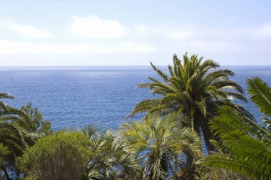 Yaz günü deniz manzarası ve palmiye ağaçları çok güzeldir. Lloret de Mar. İspanya.