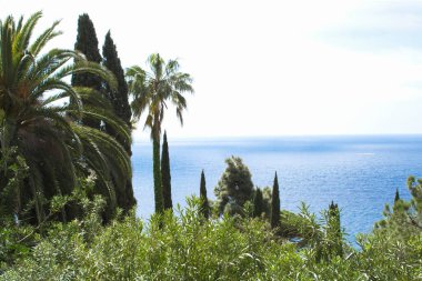 Yaz günü deniz manzarası ve palmiye ağaçları çok güzeldir. Lloret de Mar. İspanya.