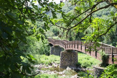 Bir yaz günü köprü manzarası. Castellfollit de la Roca. İspanya.