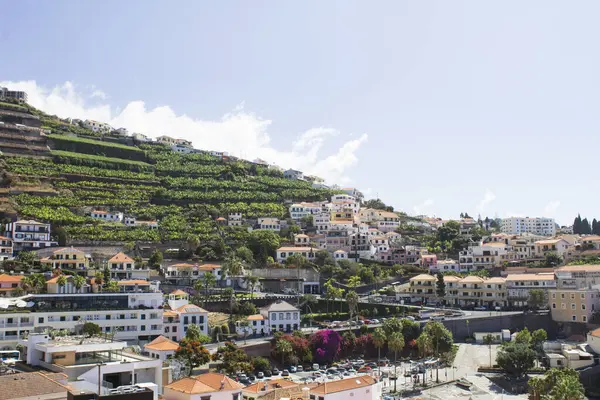 stock image Beautiful view of the city on a summer day. Camara de Lobos. Madeira. Portugal.