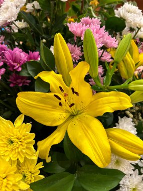 Güzel sarı zambak ve renkli kasımpatı manzarası. Yakın plan. Konum dikey.